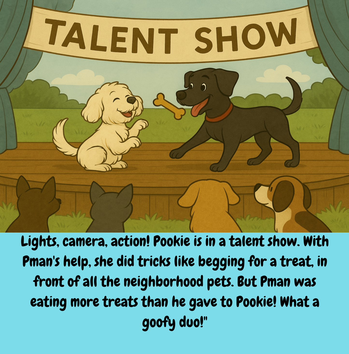 The Adventures of Pman & Pookie