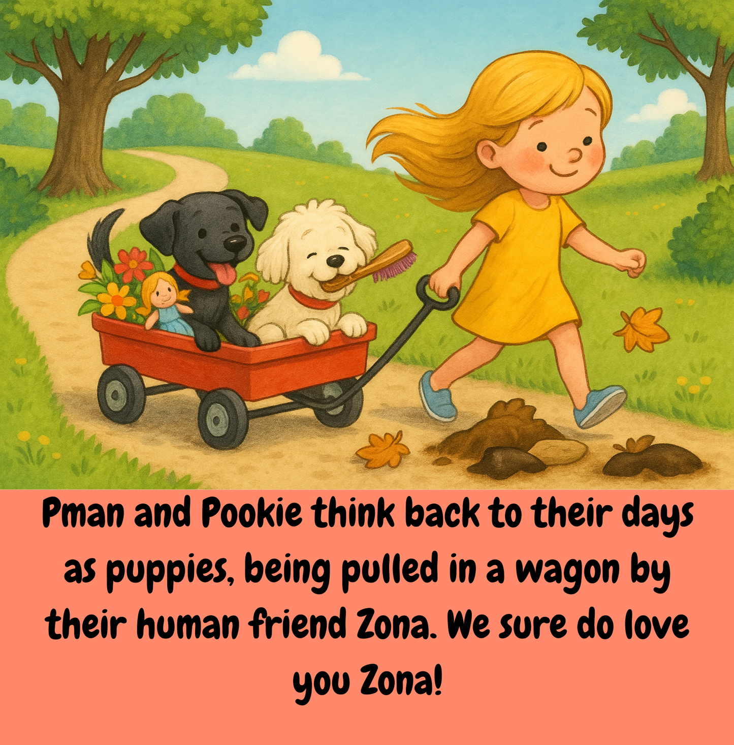 The Adventures of Pman & Pookie