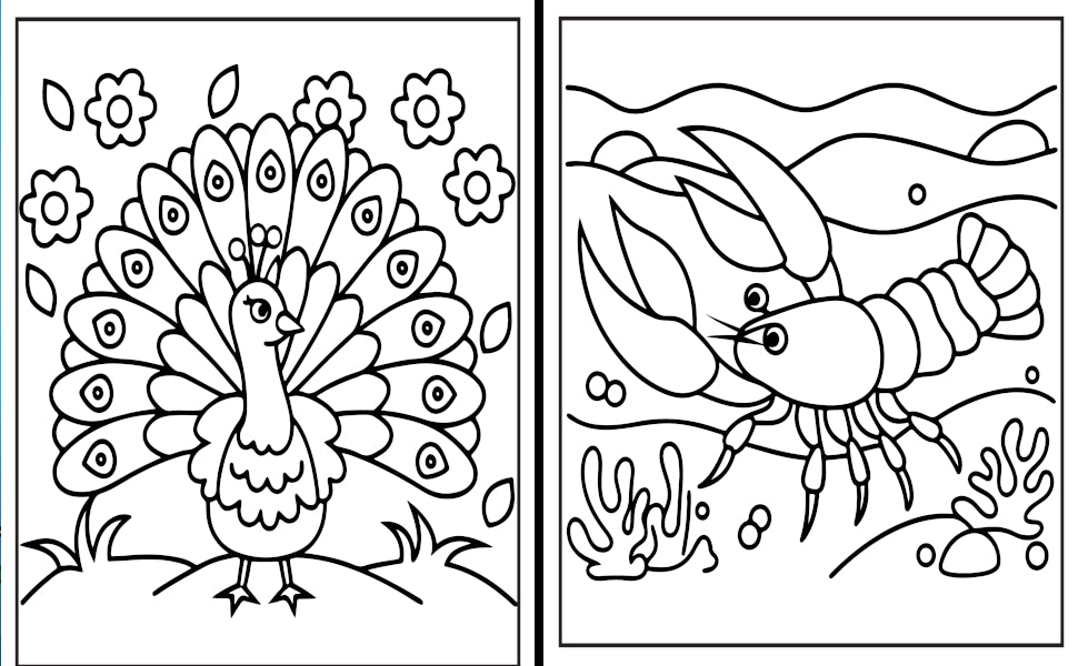Animals & Fish: A Children's Coloring Adventure. Ages 4-8